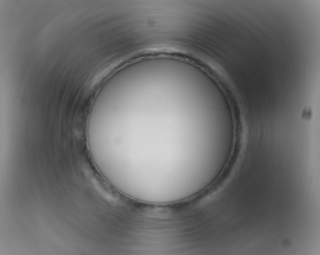 X0000113200833200909100920