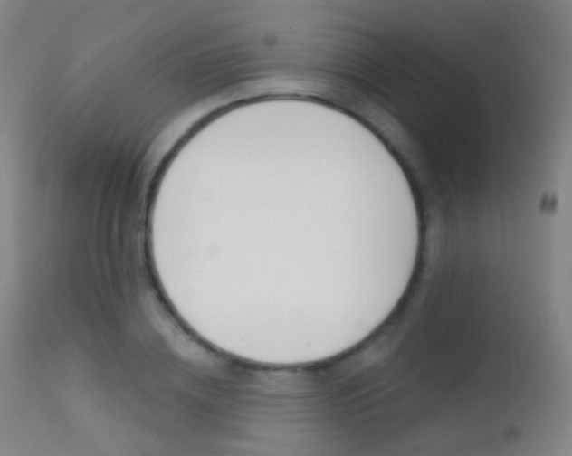 X0000113200836200909100920