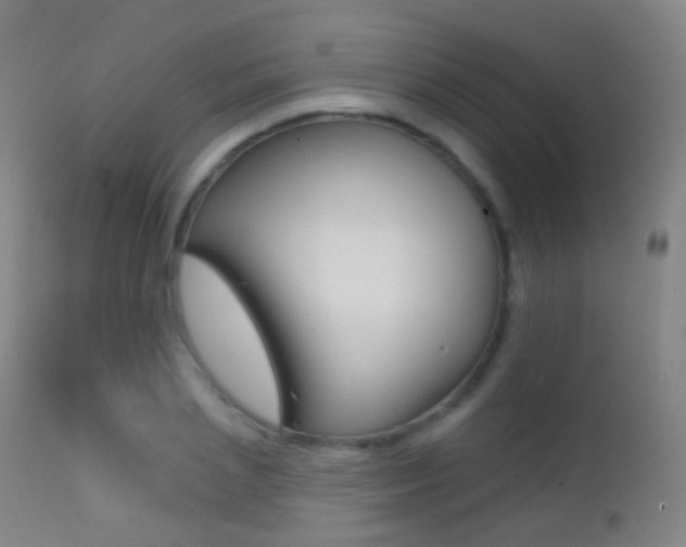 X0000113200837200909100920
