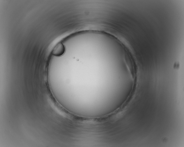 X0000113200838200909100920