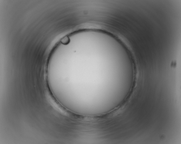 X0000113200840200909100920