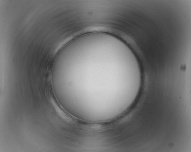 X0000113200841200909100920
