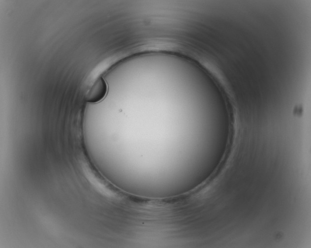 X0000113200842200909100920