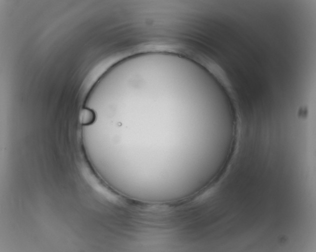 X0000113200844200909100920