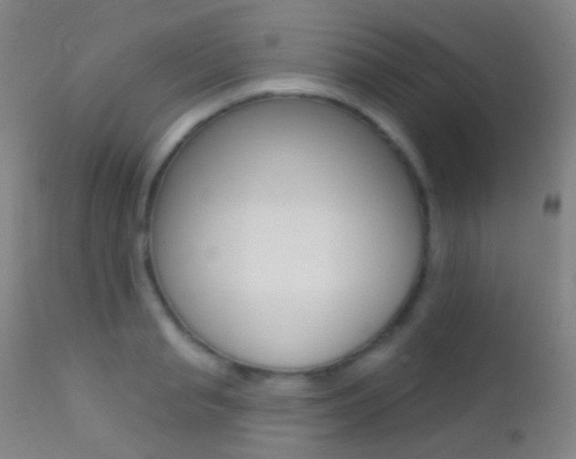 X0000113200845200909100920