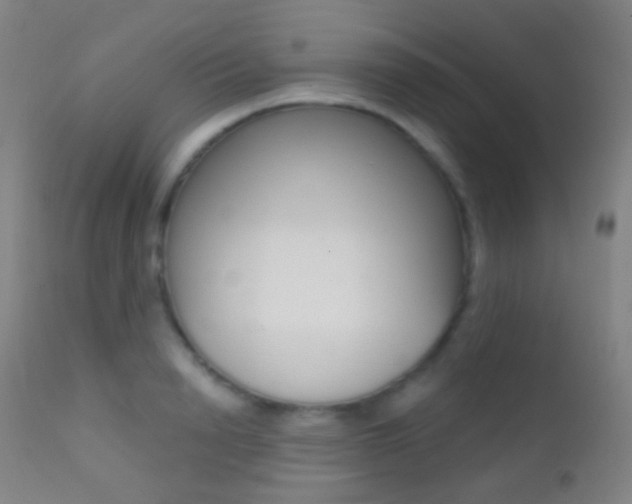 X0000113200846200909100920
