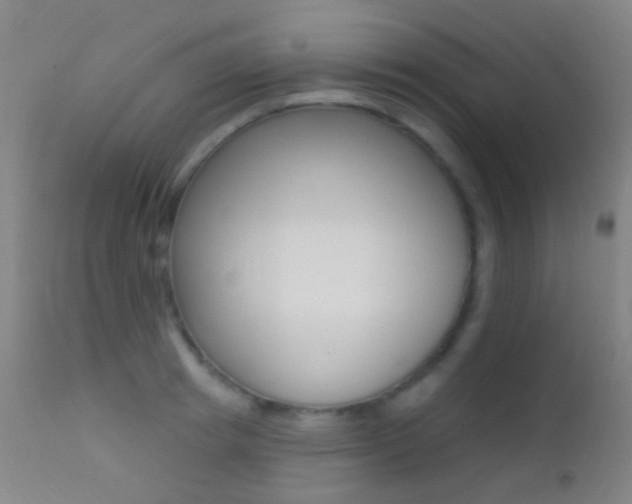 X0000113200849200909100920