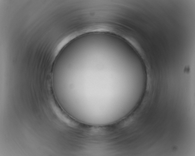 X0000113200850200909100920