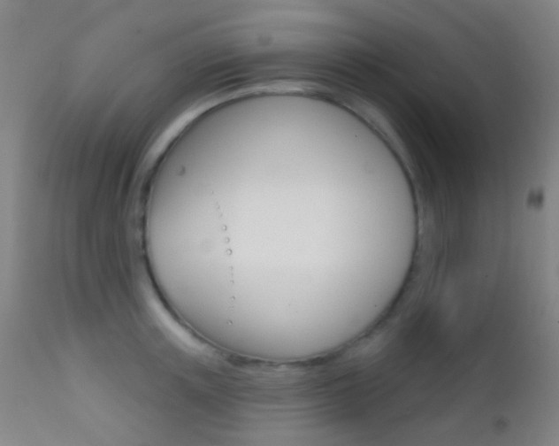 X0000113200851200909100920