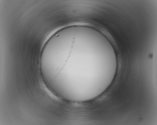 X0000113200852200909100920