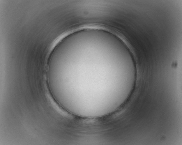 X0000113200853200909100920