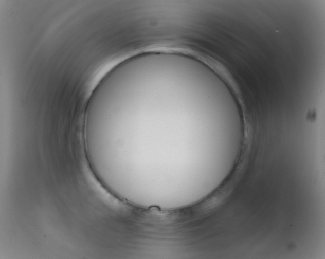 X0000113200855200909100920