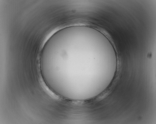 X0000113200859200909100920