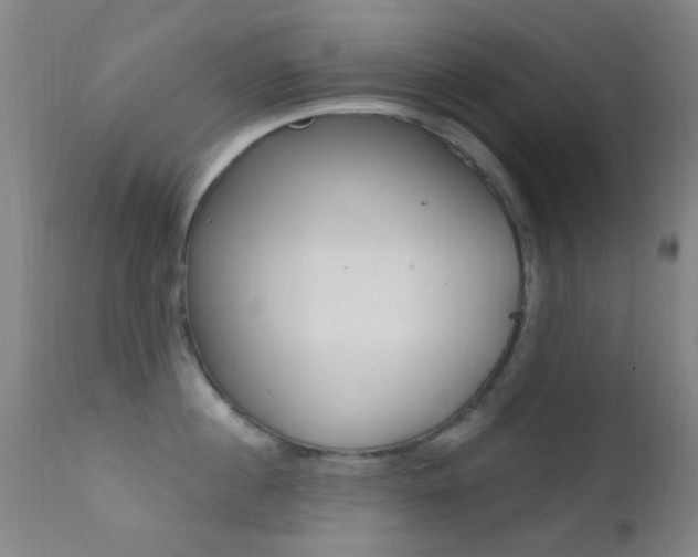 X0000113200860200909100920