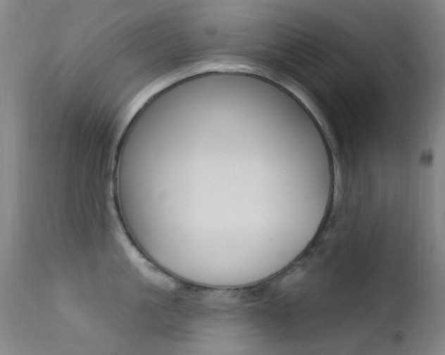 X0000113200861200909100920