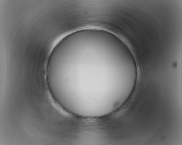 X0000113200862200909100920
