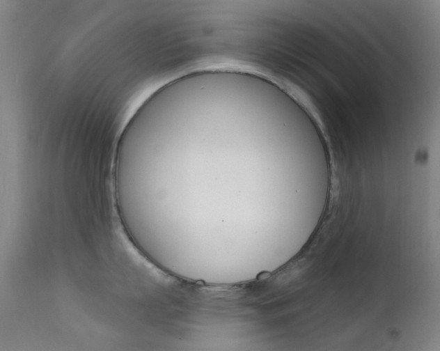 X0000113200863200909100920