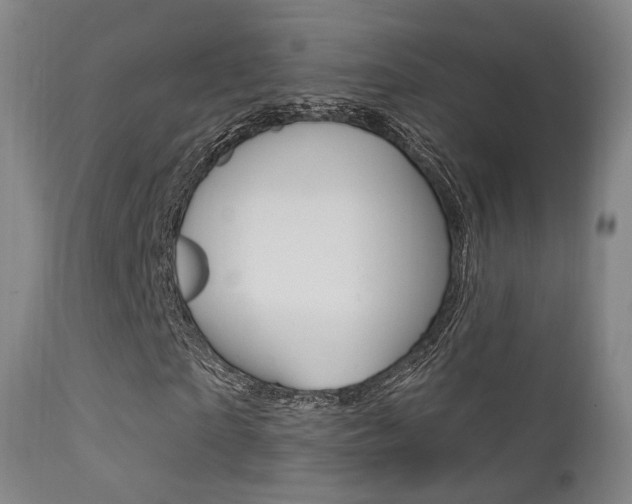 X0000113200865200909100920