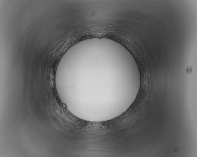 X0000113200866200909100920