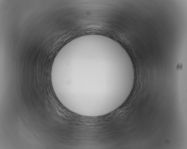 X0000113200868200909100920