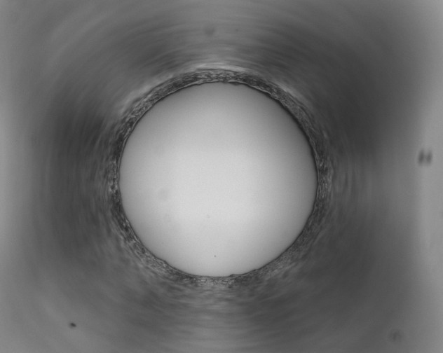 X0000113200870200909100920