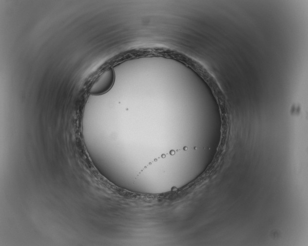 X0000113200871200909100920