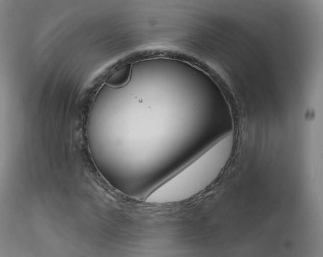 X0000113200872200909100920