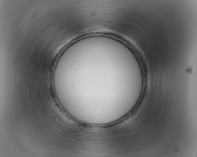X0000113200873200909100920