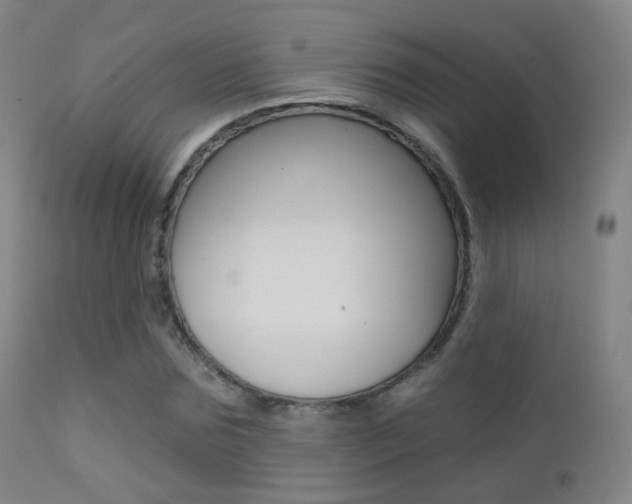 X0000113200875200909100920