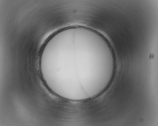 X0000113200878200909100919