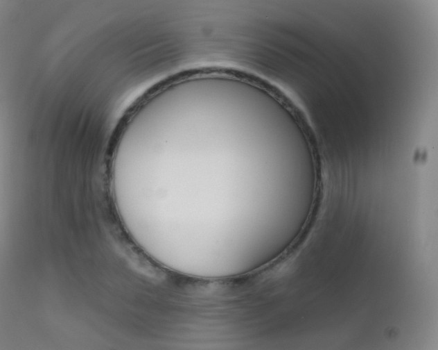 X0000113200879200909100919