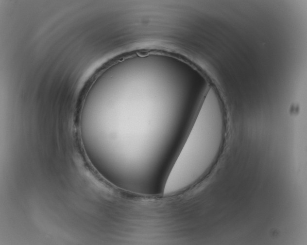 X0000113200880200909100919