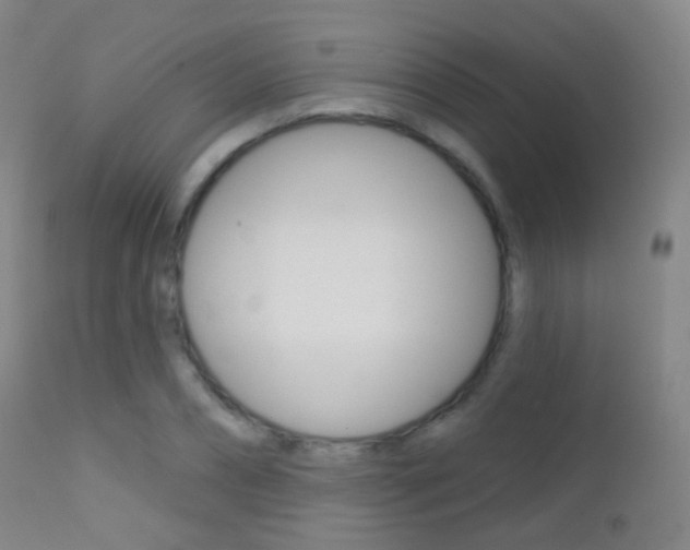 X0000113200882200909100919