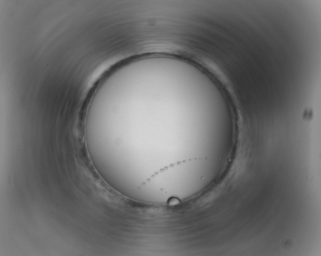 X0000113200883200909100919