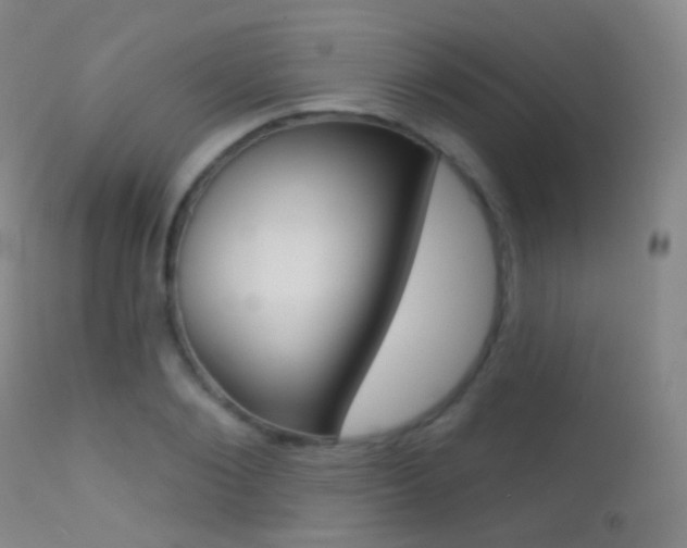 X0000113200884200909100919