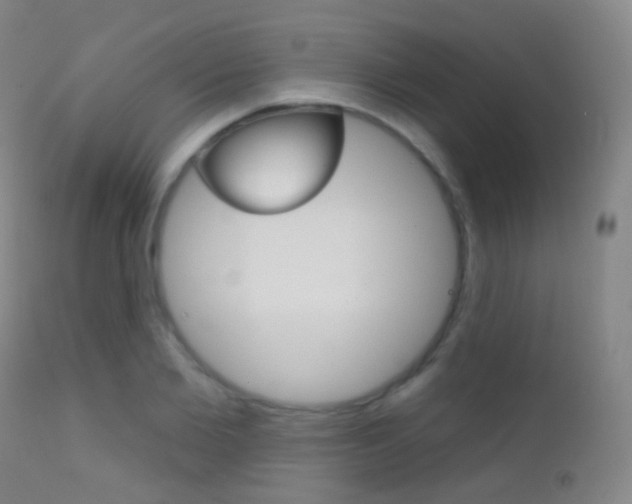 X0000113200885200909100919