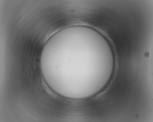 X0000113200889200909100919