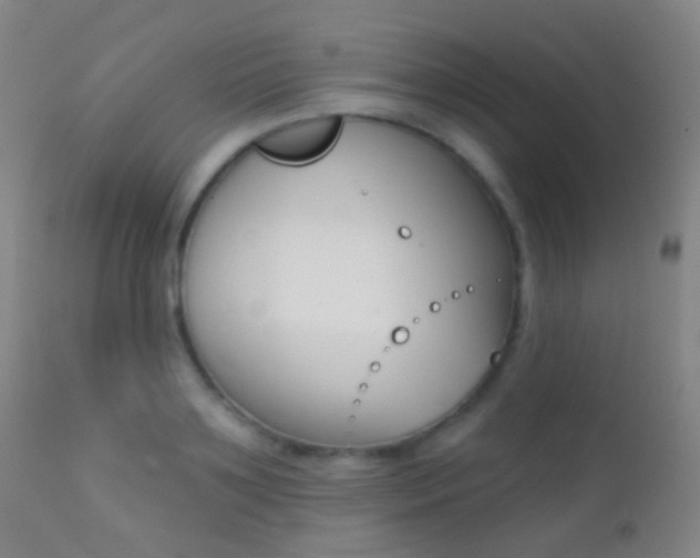 X0000113200891200909100919