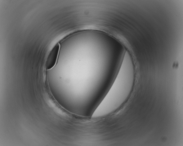 X0000113200892200909100919