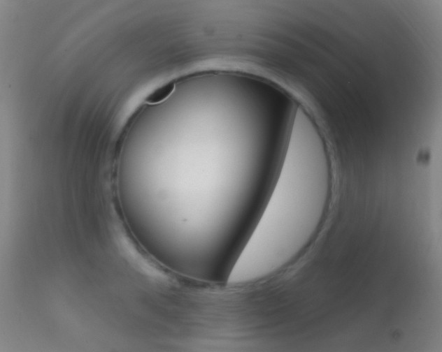 X0000113200896200909100919