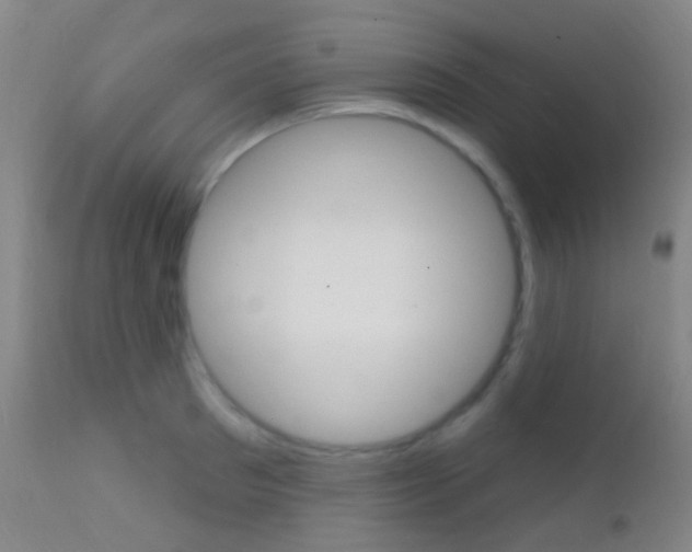 X0000113200897200909100919