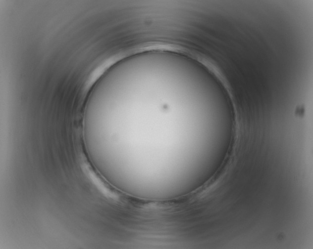 X0000113200898200909100919