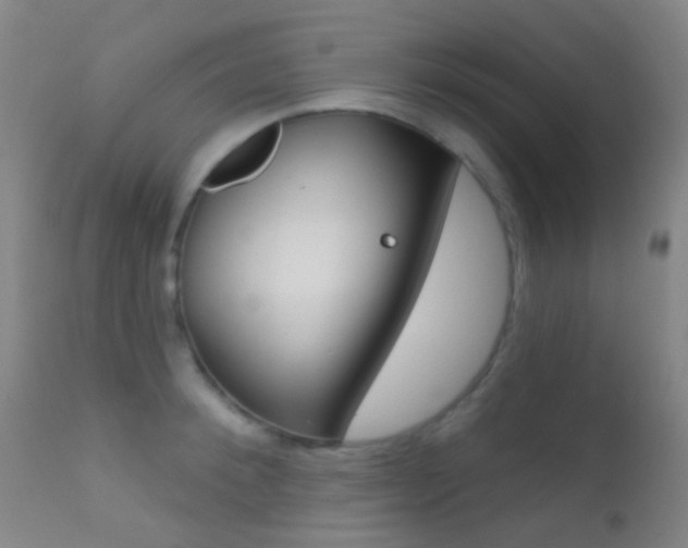 X0000113200900200909100919