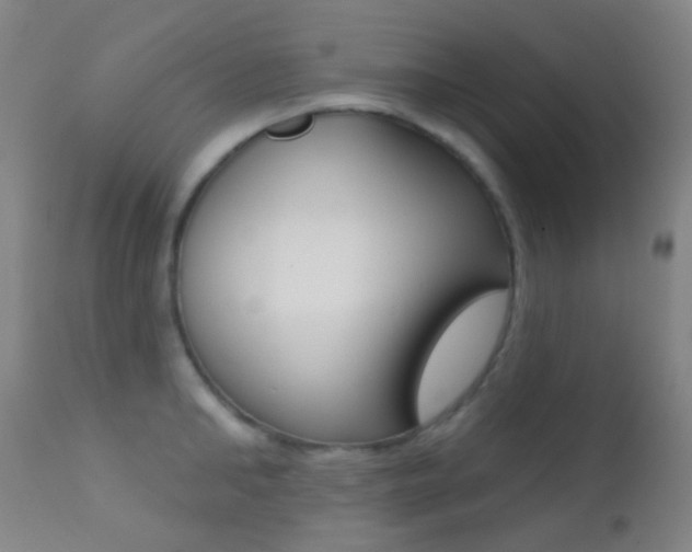 X0000113200902200909100919