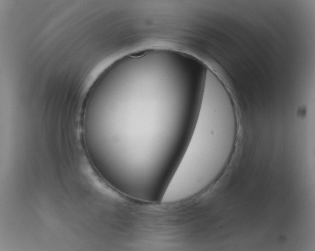 X0000113200904200909100919