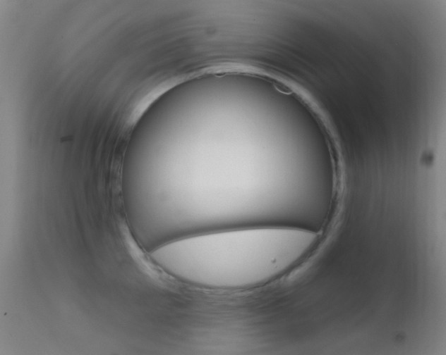 X0000113200905200909100919