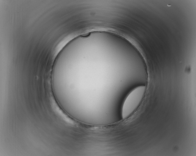 X0000113200906200909100919