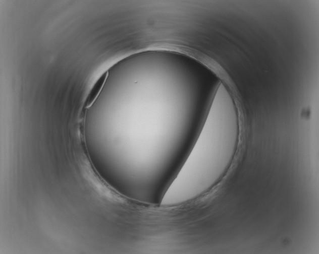 X0000113200908200909100919