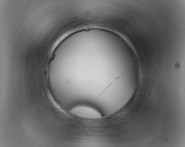 X0000113200911200909100919