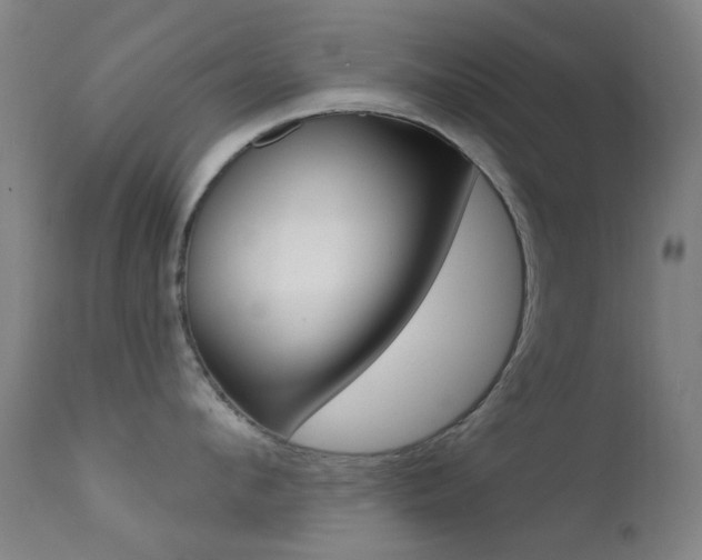 X0000113200912200909100919